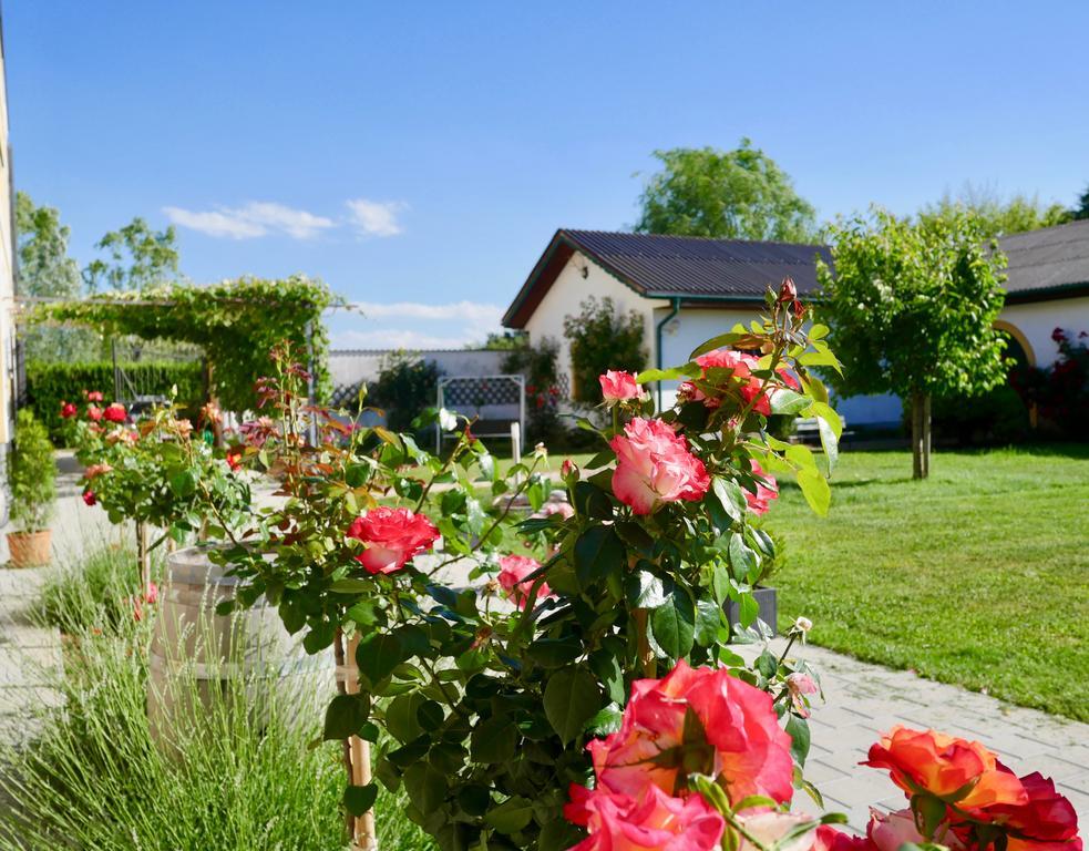 Pension Seepanorama Weiden am See Exterior foto